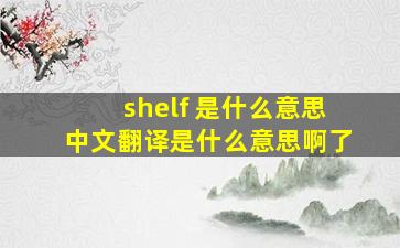 shelf 是什么意思中文翻译是什么意思啊了